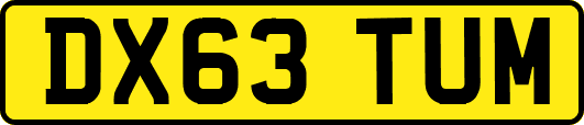 DX63TUM