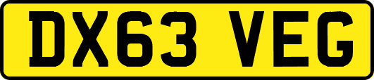 DX63VEG