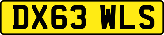 DX63WLS