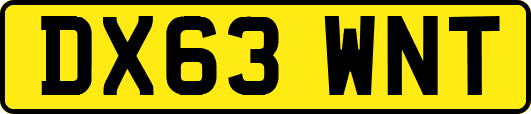 DX63WNT