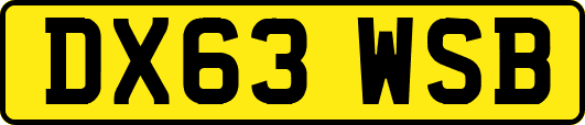 DX63WSB