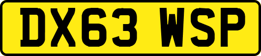 DX63WSP