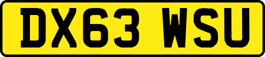 DX63WSU