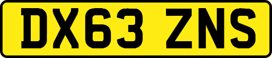 DX63ZNS