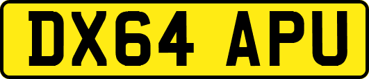 DX64APU