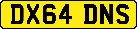 DX64DNS
