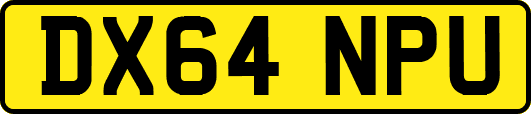 DX64NPU