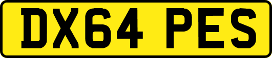 DX64PES