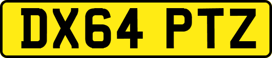 DX64PTZ