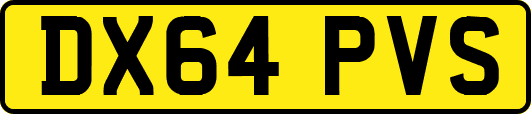 DX64PVS