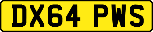 DX64PWS