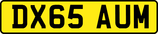 DX65AUM