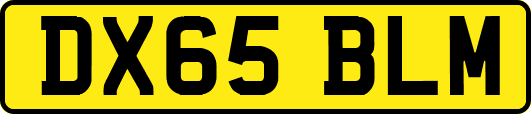 DX65BLM