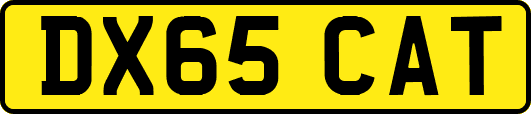 DX65CAT