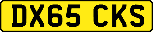 DX65CKS