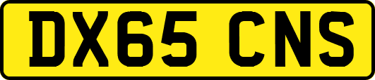 DX65CNS