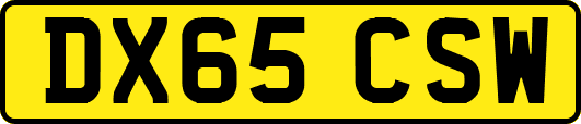 DX65CSW