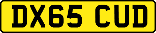 DX65CUD