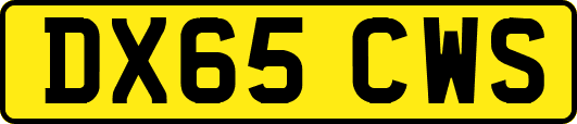 DX65CWS