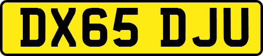 DX65DJU