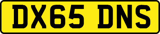 DX65DNS
