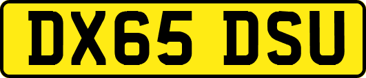 DX65DSU