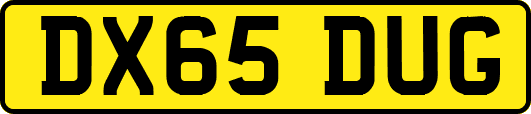 DX65DUG