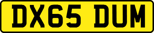DX65DUM