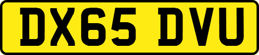 DX65DVU