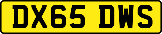 DX65DWS