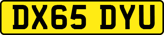DX65DYU