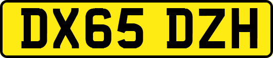 DX65DZH