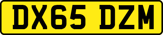 DX65DZM