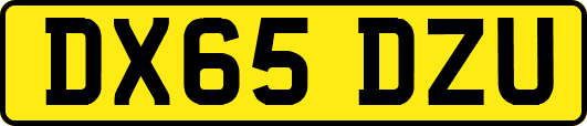 DX65DZU