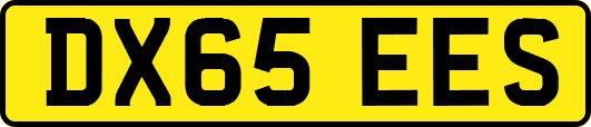 DX65EES