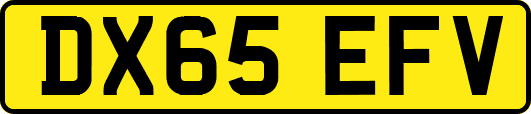 DX65EFV