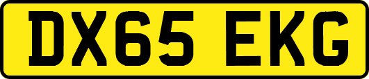 DX65EKG