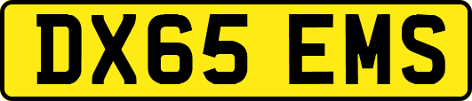 DX65EMS