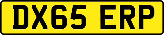 DX65ERP