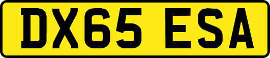 DX65ESA