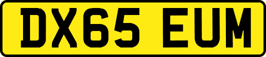 DX65EUM