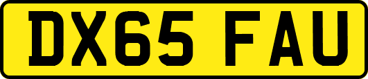DX65FAU