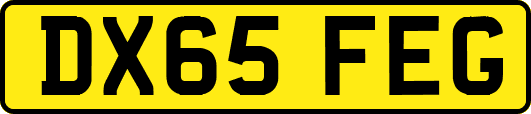 DX65FEG