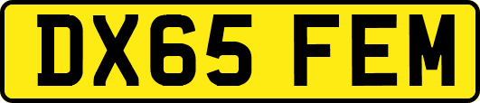 DX65FEM