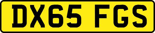DX65FGS