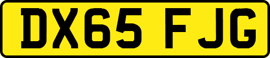 DX65FJG