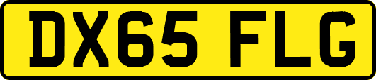 DX65FLG