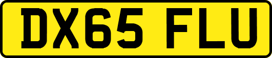 DX65FLU