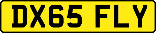 DX65FLY