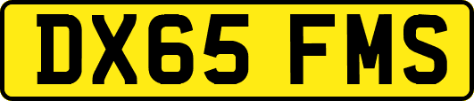DX65FMS